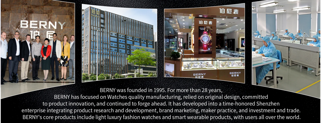 BERNY Watch for Men Mechanical Automatic Watches Seagull Luxury Brand Male Clock Water Resistant Swiss Railway Men's Wristwatch
