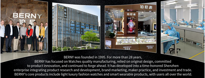 BERNY Watch for Men Mechanical Automatic Watches Seagull Luxury Brand Male Clock Water Resistant Swiss Railway Men's Wristwatch