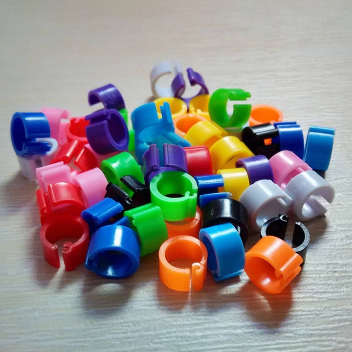 SeekLGT Chicken Leg Bands,Chick Leg Bands,100 Pieces Chicken Leg Rings Chicken Identification Leg Poultry Leg Clip On Leg Rings For Chicken Random Color