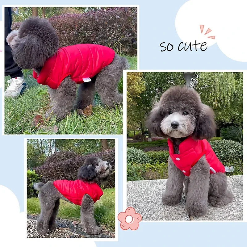 Reversible Winter Dog Coat