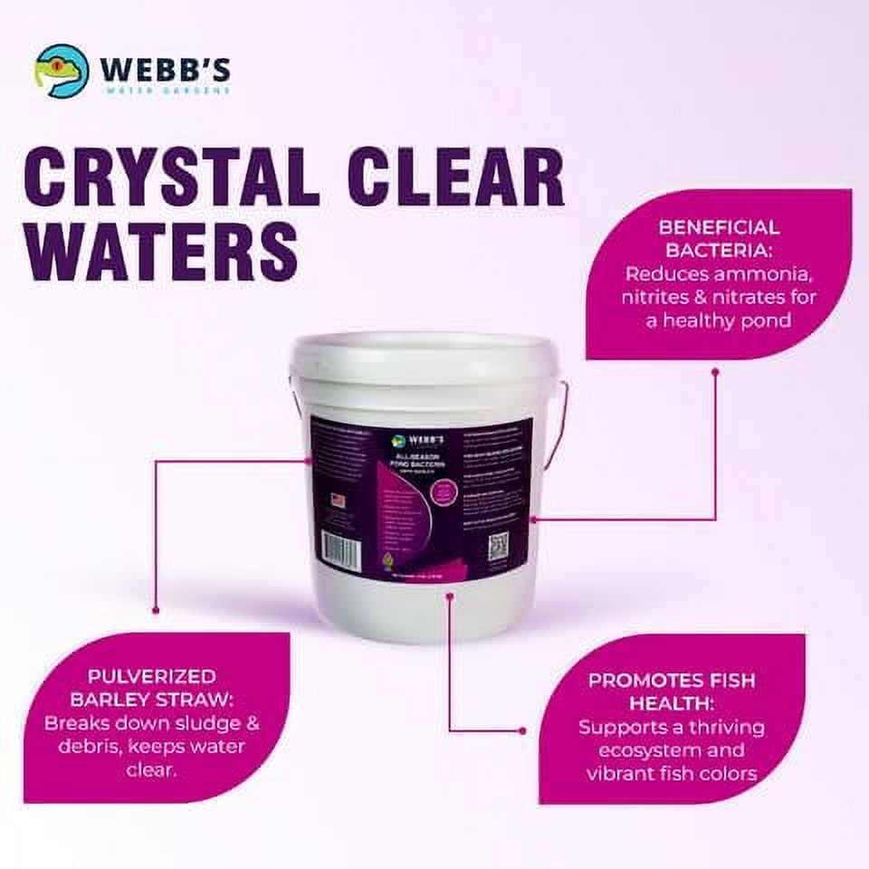 Webb's Water Gardens All-Season Pond Bacteria with Barley Packets - Supports up to 1000 Gallons - 12 Packets for Easy Application - 5 Pounds - Ideal for Clearing Pond Water and Mai