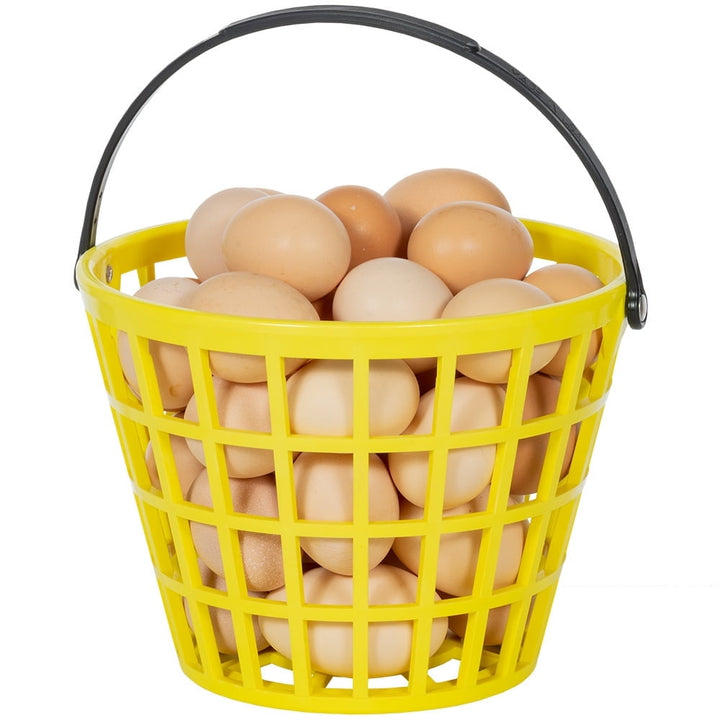 X-Tuff Egg Basket for Chicken and Poultry Eggs, small