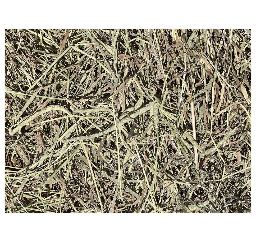 YfulYde Timothy Hay Rabbits, Guinea Pigs, Chinchilla Food (10+ lb.)
