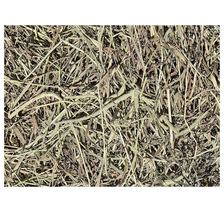 YfulYde Timothy Hay Rabbits, Guinea Pigs, Chinchilla Food (10+ lb.)