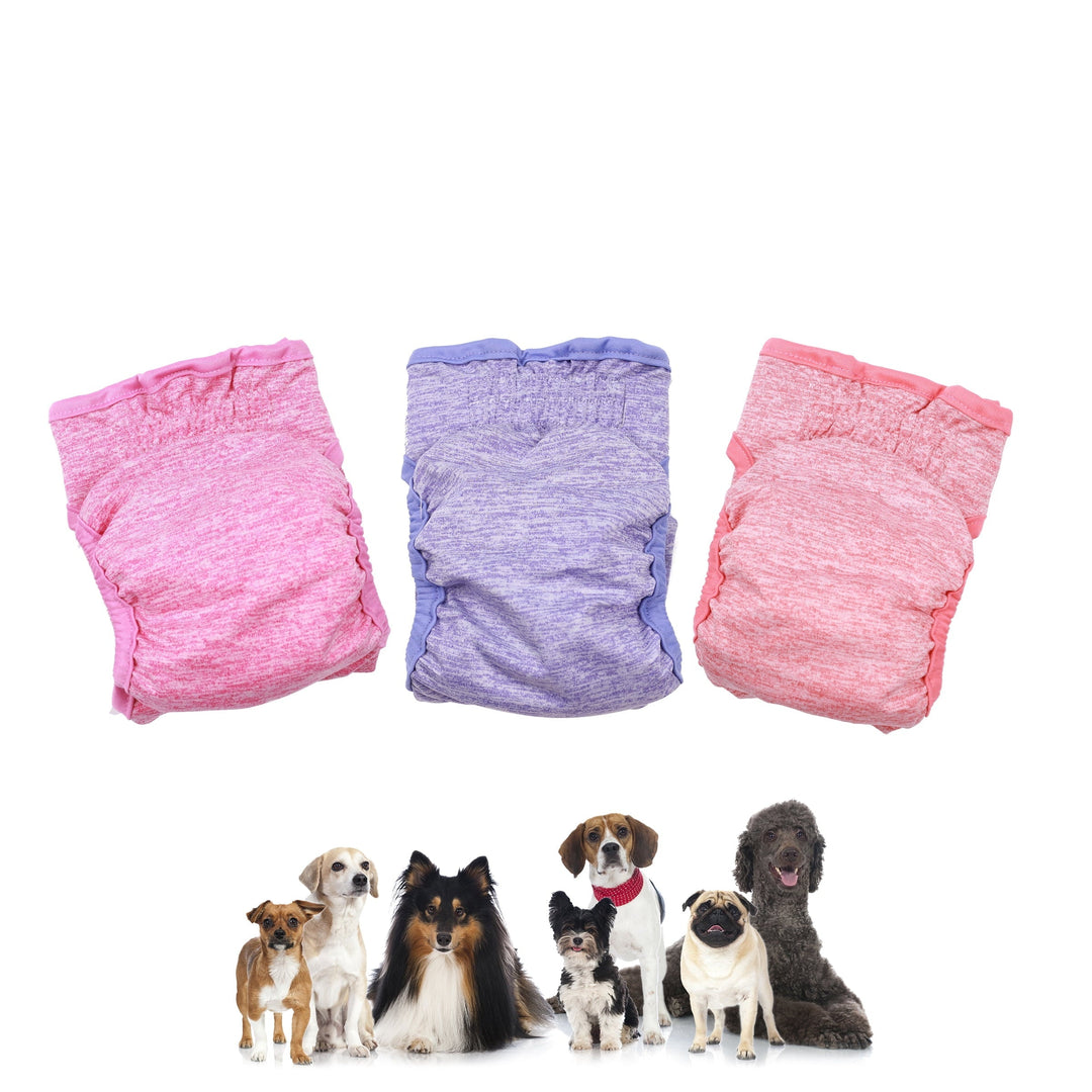 Vibrant Life Washable Dog Diapers for Female Dogs, S, 3 Count