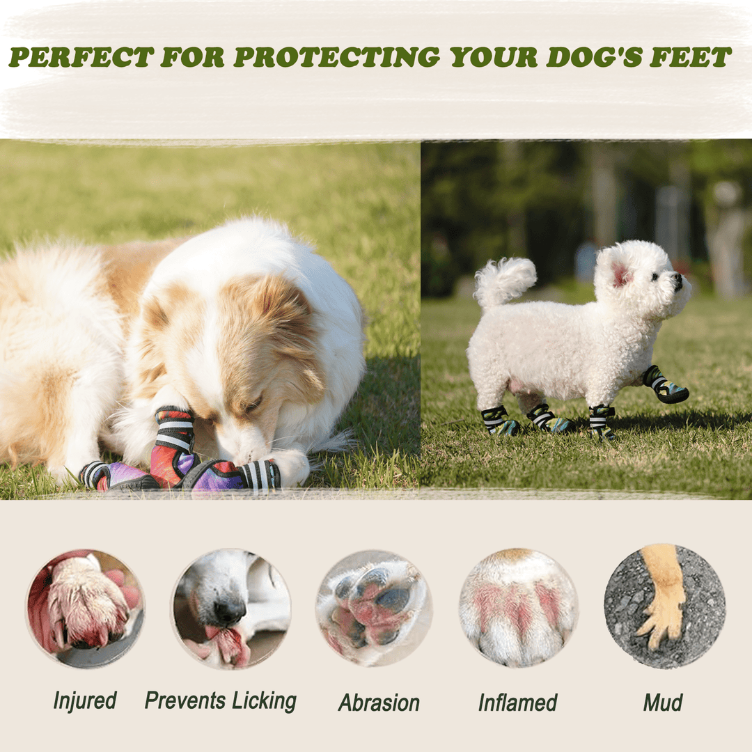 Furmate Dog Shoes for Smal Medium Large Dogs