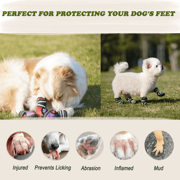 Furmate Dog Shoes for Smal Medium Large Dogs