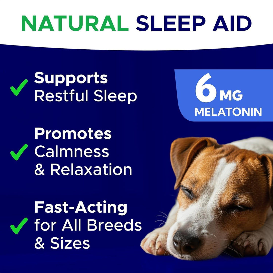 Melatonin for Dogs to Sleep 6mg - Doggie Sleep Aid Treats - Sleeping Pills for Anxiety - Extra Strength Calming Chews Large & Medium Breed Help Sleep at Night - Made in USA - 120Ct