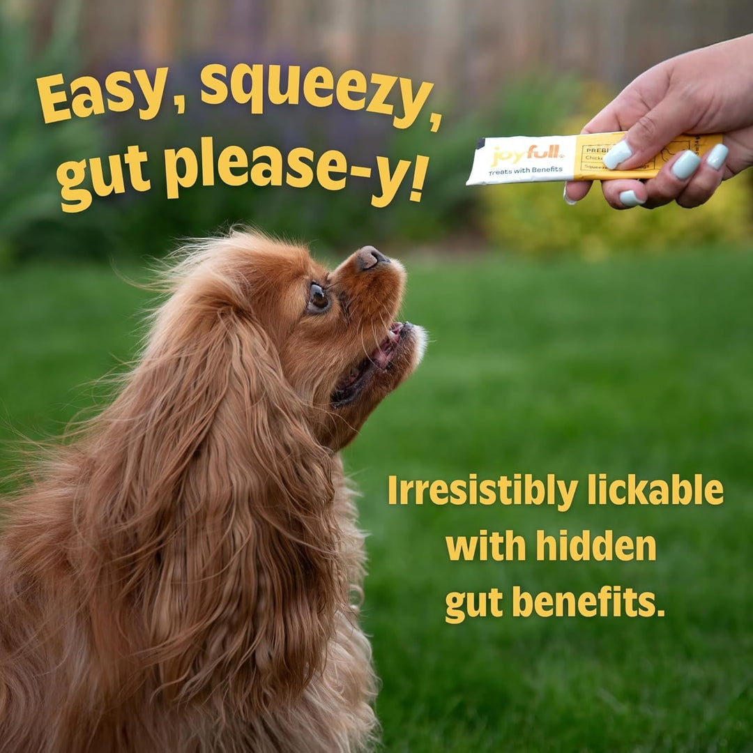 JoyFull Chicken Squeeze Treats for Dogs – Prebiotic Gut Health Treats Made with Real Cage-Free Chicken – Lickable, Enrichment-Friendly, Meal Topper – 24 Easy Squeeze Sticks (0.5oz Each)
