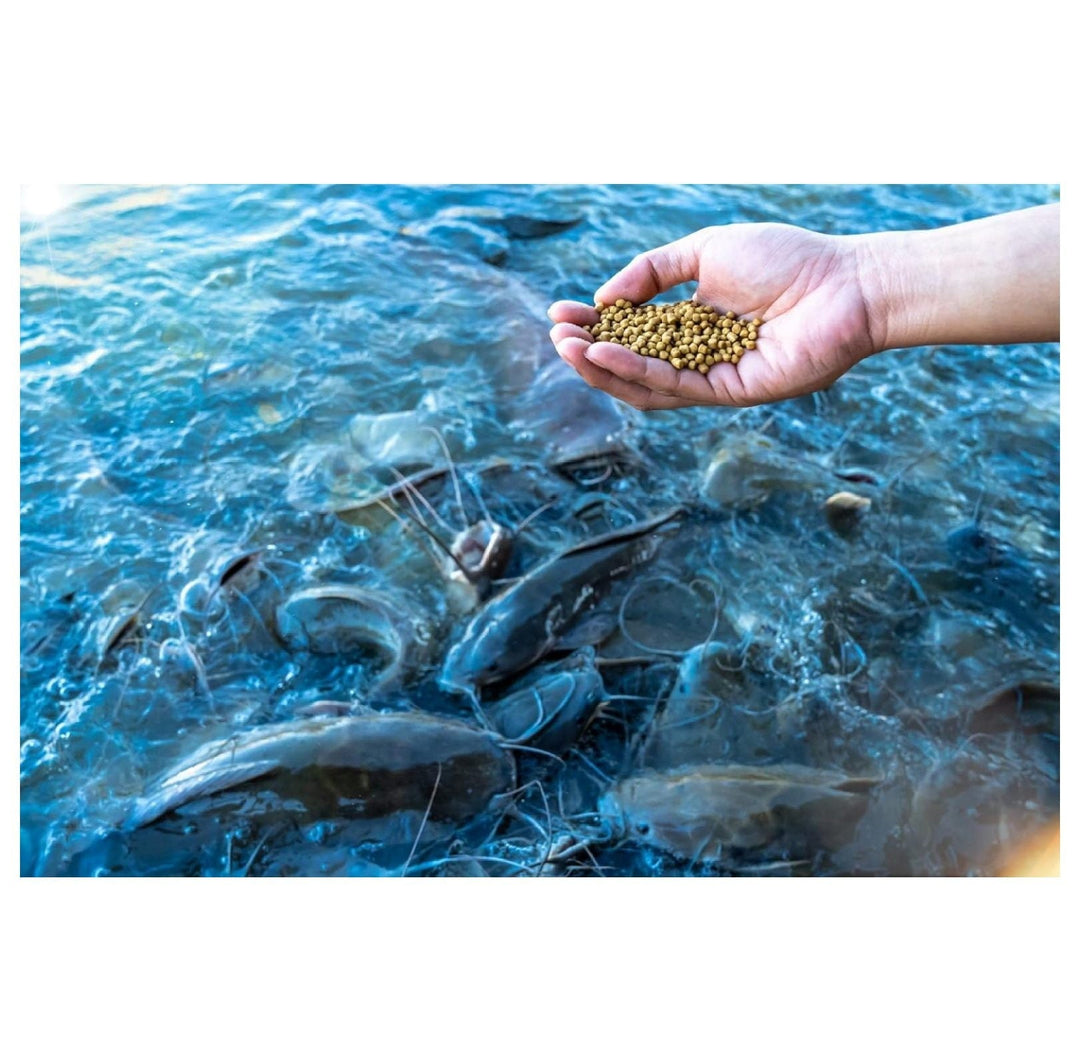 Nature's Canvas Catfish Feed Big Strike 32% Protein Floating Fish Food 40 Pounds
