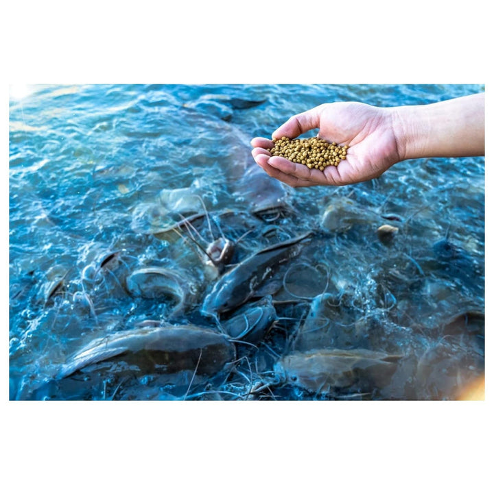 Nature's Canvas Catfish Feed Big Strike 32% Protein Floating Fish Food 40 Pounds