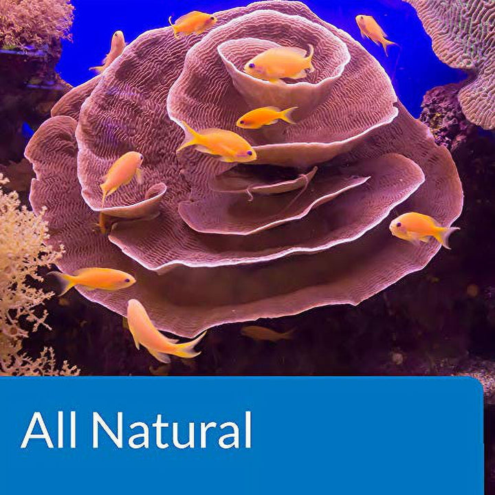 API Marine Stress Zyme Saltwater Aquarium Cleaning Solution 16-Ounce Bottle