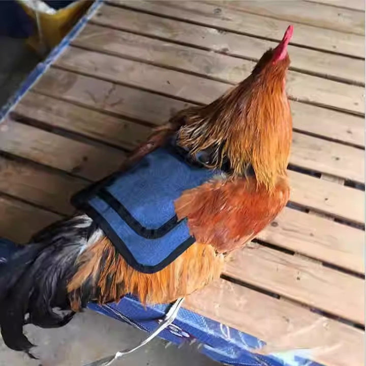 3Pcs Chicken Saddles for Hens - Adjustable Hen Aprons with Side & Back Protection, Comfortable Poultry Feather Protector Vests for Roosting & Mating (Red/Blue/Purple)