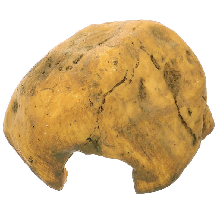 PAMINGONO Small Reptile Hide Decor Resin Basking Rock for Turtle Tank 1Pack