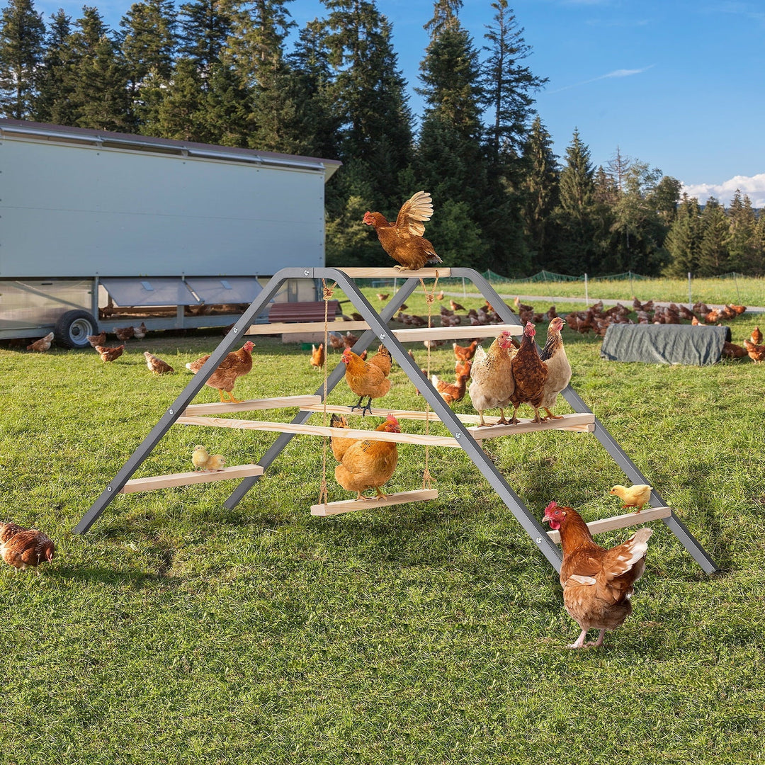 PETSFIT Chicken Roosting Bar-Solid Wood and Rustproof Iron Design, Chicken Perch with Swing for Healthy Poultry-Ideal for Backyard Coops, Farms, Easy to Assemble and Clean