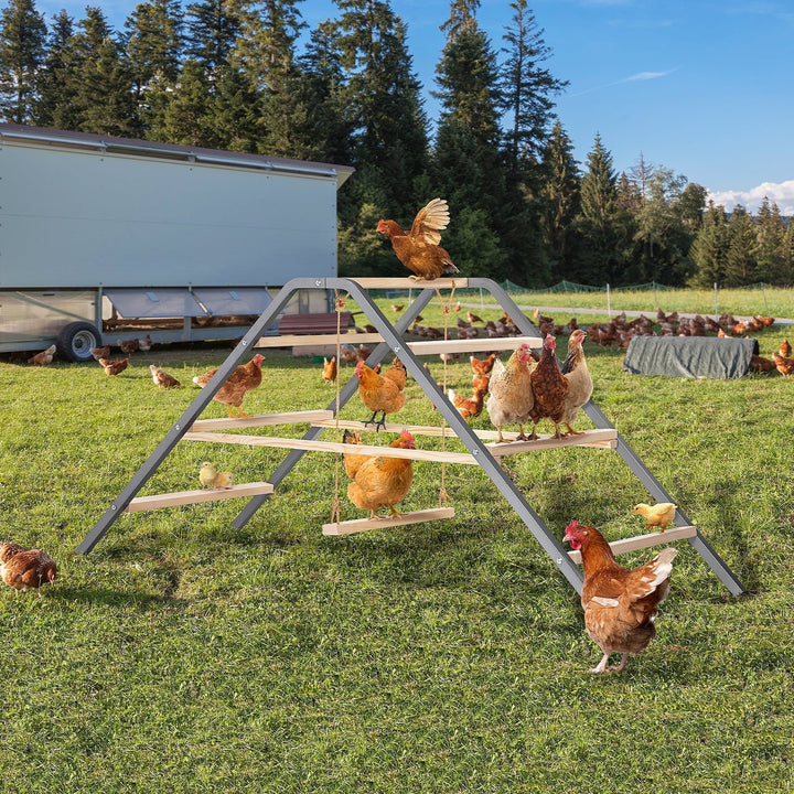 PETSFIT Chicken Roosting Bar-Solid Wood and Rustproof Iron Design, Chicken Perch with Swing for Healthy Poultry-Ideal for Backyard Coops, Farms, Easy to Assemble and Clean