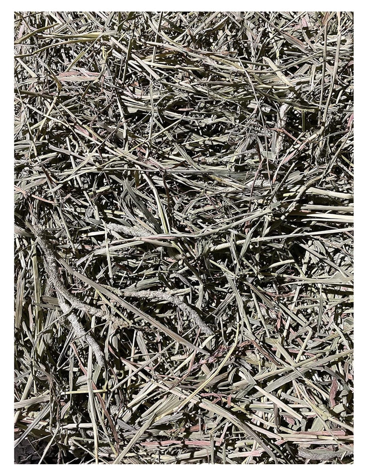 YfulYde Timothy Hay Rabbits, Guinea Pigs, Chinchilla Food (10+ lb.)