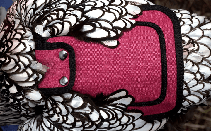 Medium-Large Chicken Saddle with Adjustable Straps, Chicken Apron, Poultry Saver, Pet Supplies, Including Shoulder Cover (Burgundy)
