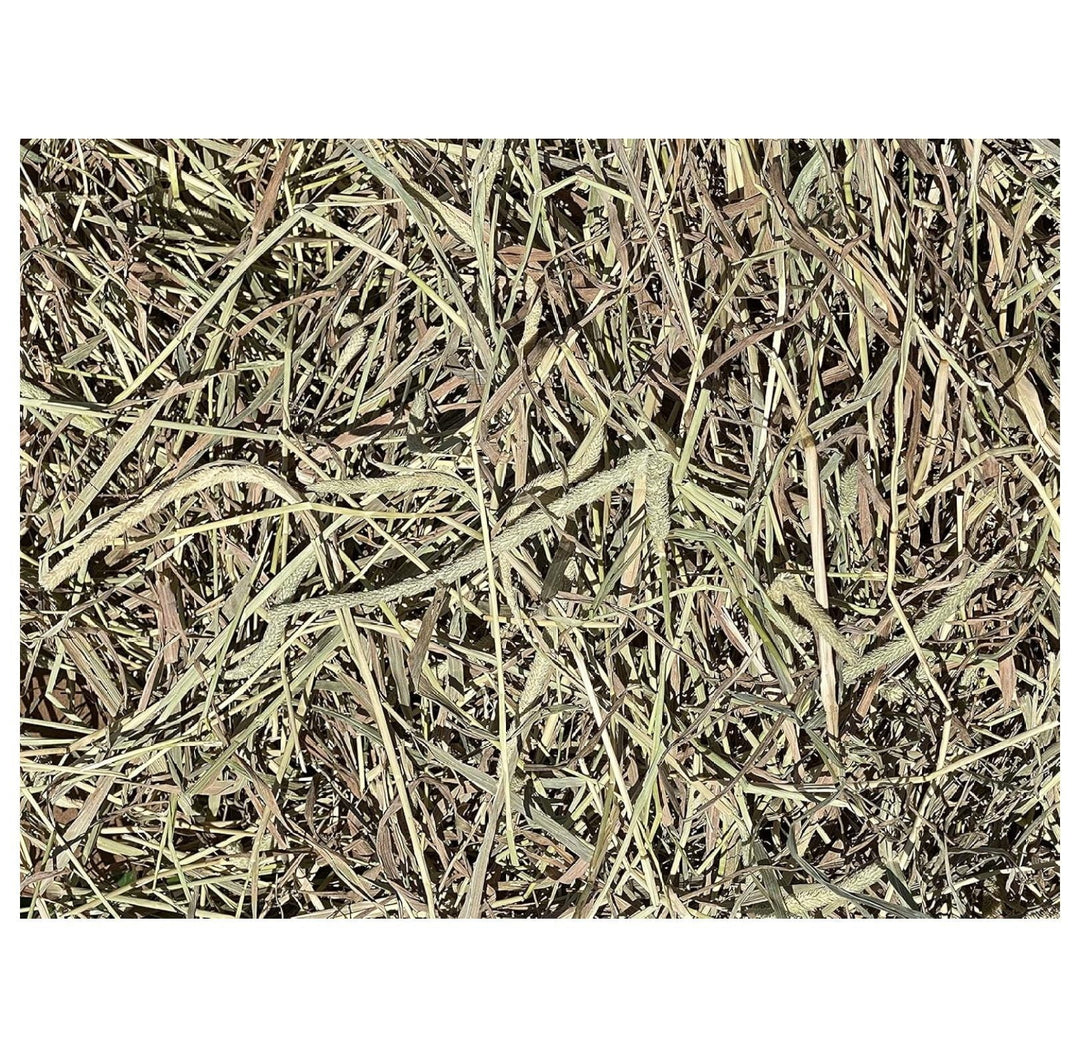 YfulYde Timothy Hay Rabbits, Guinea Pigs, Chinchilla Food (10+ lb.)