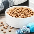 Pure's Balance Chicken & Brown Rice Recipe Dry Dog Food, 30 lbs