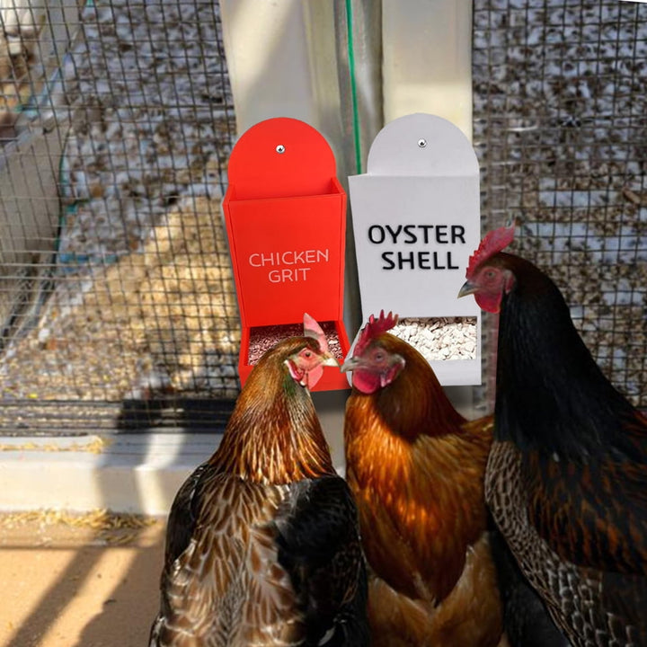 Yiaieng Chicken Oyster and Grit Feeder Chicken No Waste Coop Accessories (Red-White)