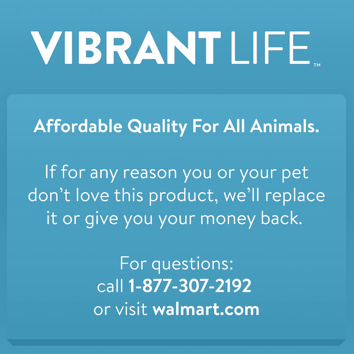 Vibrant Life Pet Kennel 32" Medium Plastic Dog Crate Portable Carrier for Pets 30 to 50 lbs, Gray