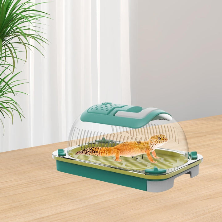 balikha Reptiles -Trarium -Lebenschaft Kaufig Clear Comfortable Reptile Breeder Box Transparent Reptiles Cage for Frog Terrrapine Turtle Snake S
