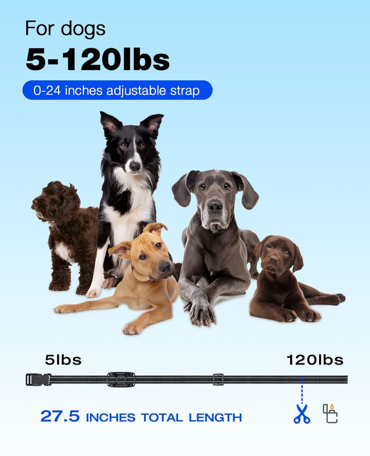 Dog Shock Collar - 3300Ft Rechargeable Waterproof Training Collar with Remote for Small, Medium & Large Dogs, Safe Beep, Vibration & Shock Modes (5-120lbs) Blue