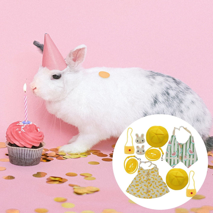 Rabbit Dress Costume Set with Accessories for Small Pets
