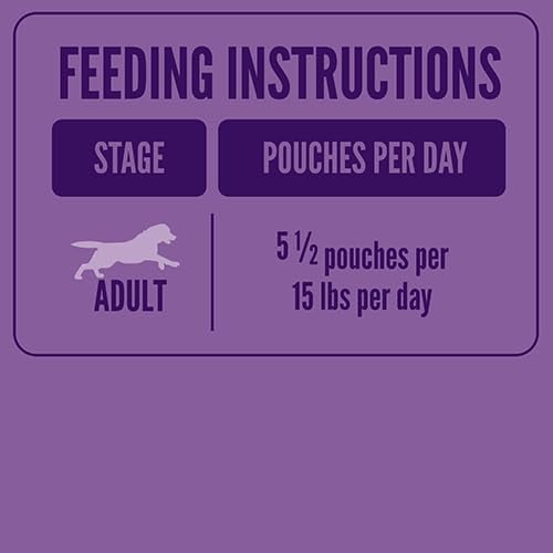 A Strong Heart Wet Dog Food Pouches, Filet Mignon Flavor in Gravy, 3.5 oz Pouches (Pack of 24), Made in The USA with Real Filet Mignon