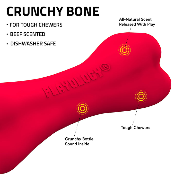 Play by Playology Dog Toys | Interactive Dog Toy Bone | Scented Crunchy Bone, Large
