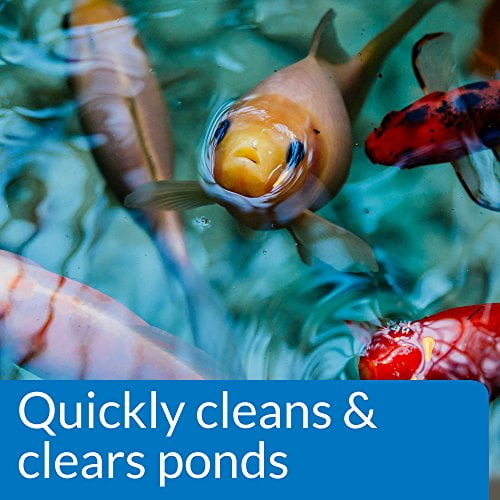 API POND SIMPLY CLEAR Pond Water Clarifier 1-Gallon Bottle