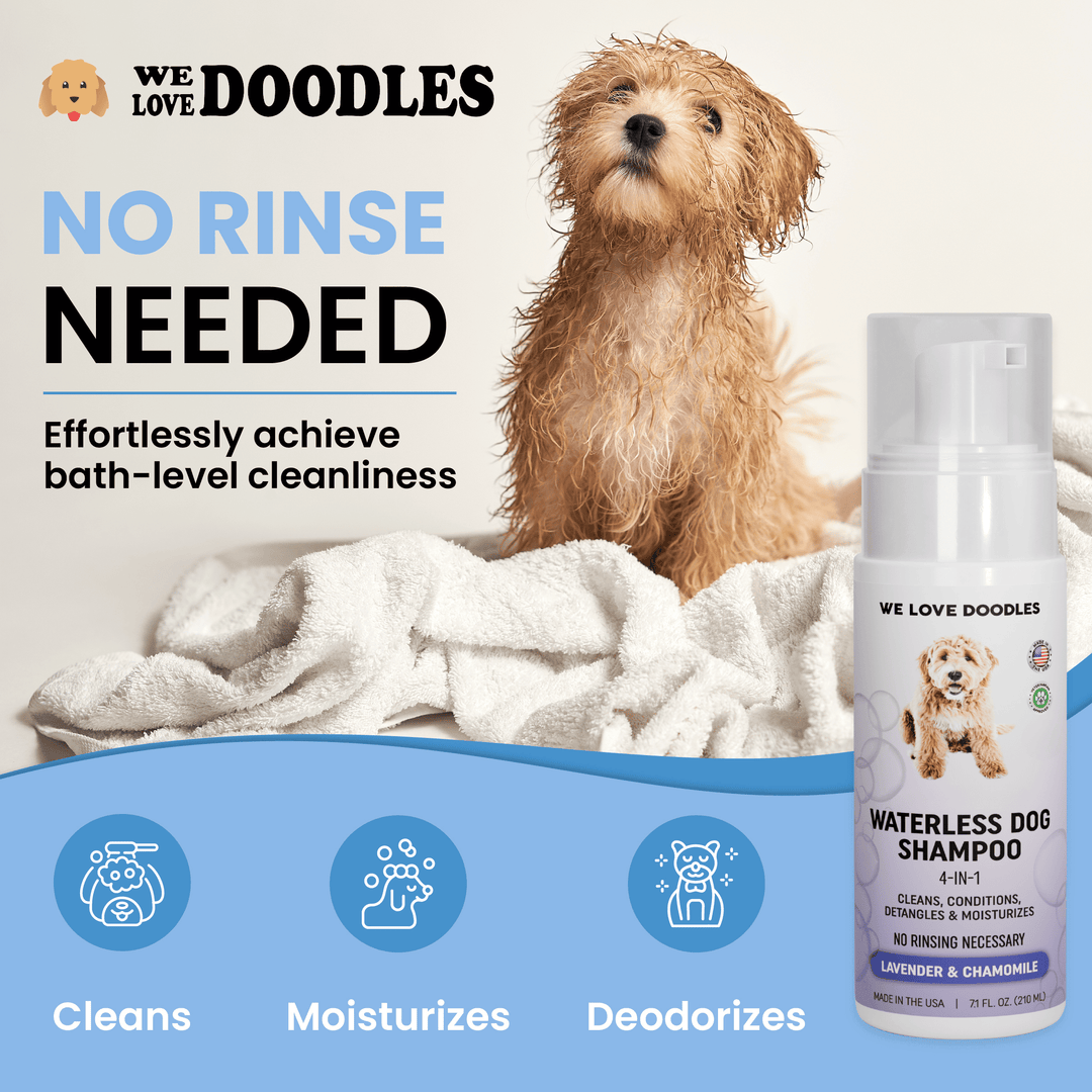 Waterless Dog Shampoo - Cleans & Moisturizes Coat, No Rinse Dog Shampoo, Safe Foam Formula & Pet-Friendly Dog Deodorizing Spray, 7.1 oz [We Love Doodles] (Lavender)