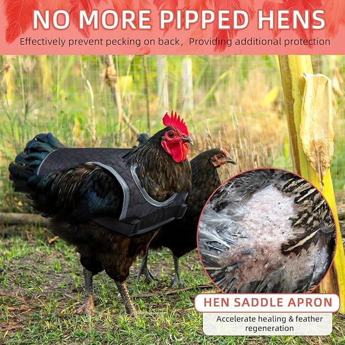Chicken Saddle for Hens, Chicken Back Protector for Hens, Comfortable & Lightweight Chicken Aprons for Hens
