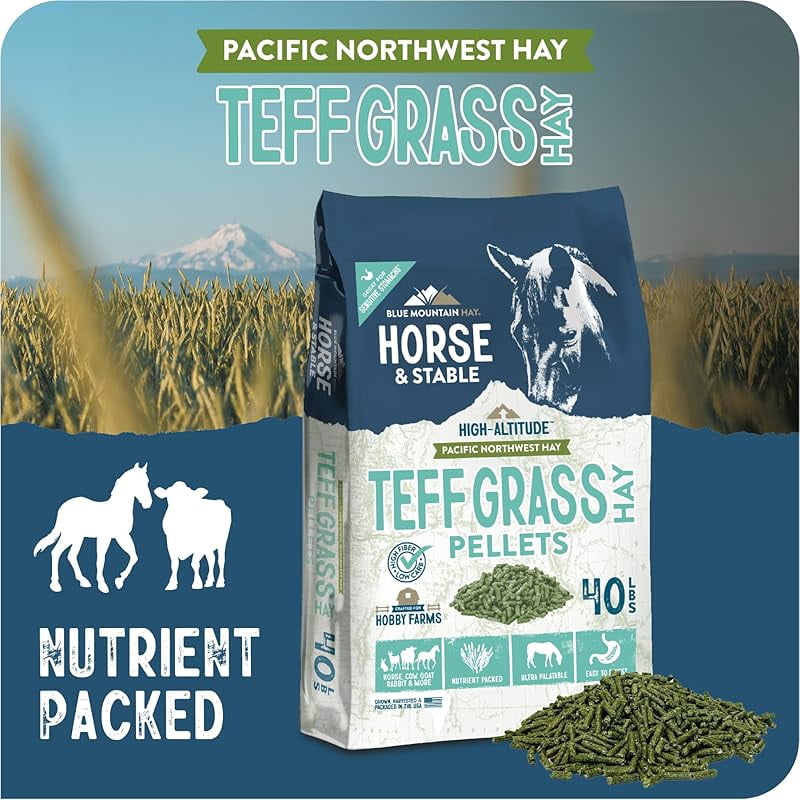 High Altitude Horse Hay Pellets | Ultra Premium Alfalfa, Timothy, Orchard, Teff Hay | Nutrient Dense | Cattle, Sheep, Alpaca, Rabbits (40 LB, Teff Grass)