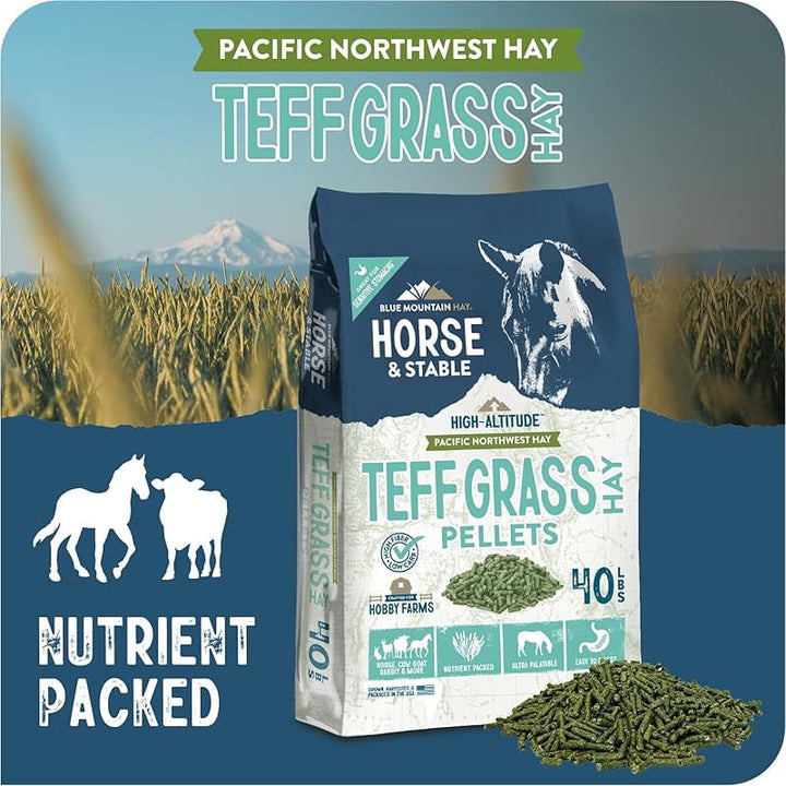 High Altitude Horse Hay Pellets | Ultra Premium Alfalfa, Timothy, Orchard, Teff Hay | Nutrient Dense | Cattle, Sheep, Alpaca, Rabbits (40 LB, Teff Grass)