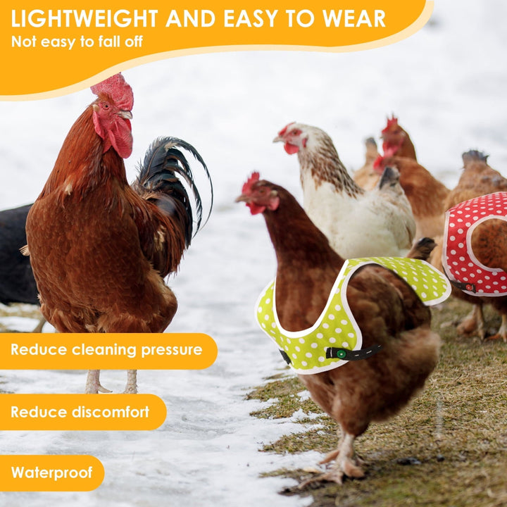 LINFANG 3Pcs Chicken Saddle Easy to Wear Hen Saddle with Adjustable Straps Wear Resistant Chicken Protector Saddle Breathable Hen Saddle Apron Practical for Hens Chicken