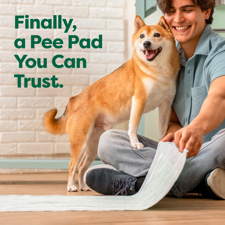 Earth Rated Leak-proof Pee Pads for Dogs and Puppies, 2X Faster Absorption*, Unscented, XXL, 30x36 in., 25ct