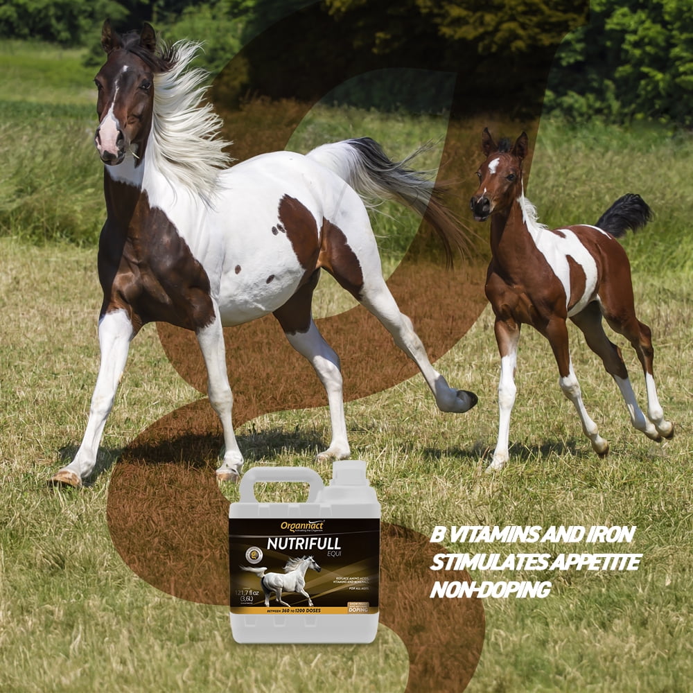 Organnact NUTRIFULL EQUI to assist in food ingestion and recovery of weak or extenuated horses 121.7 fl oz (3,6l)