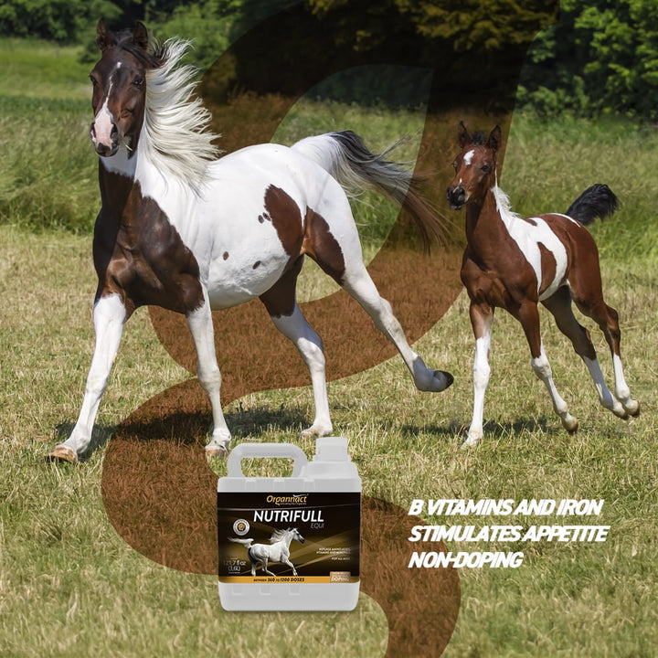 Organnact NUTRIFULL EQUI to assist in food ingestion and recovery of weak or extenuated horses 121.7 fl oz (3,6l)