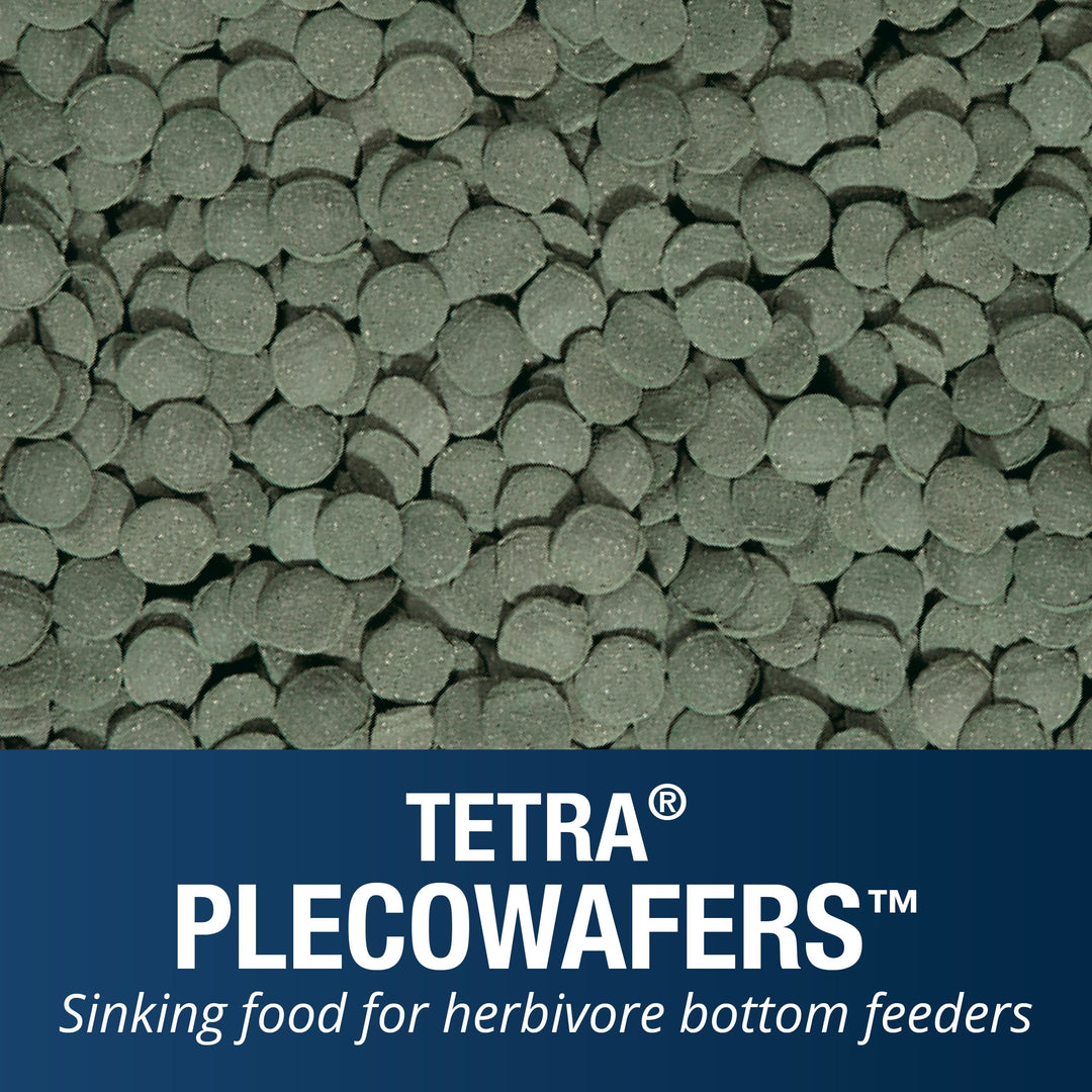 Tetra Pleco Wafers for Algae Eating Fish, Sinking Fish Food to Support Digestibility, 6.5 oz
