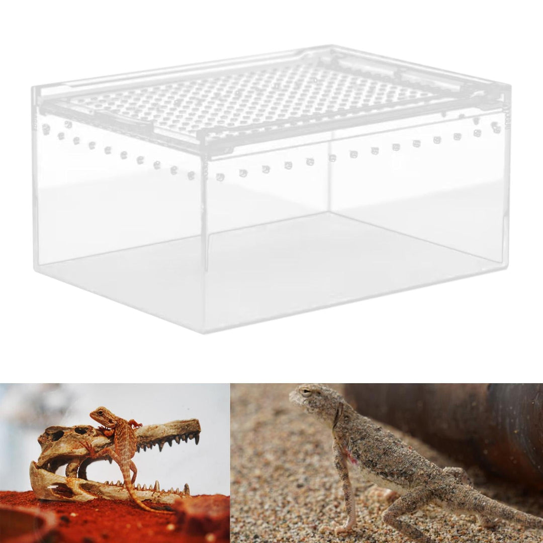 TOOYFUL Reptile Breeding Box Acrylic Animal Habitat Cage for Turtle Geckos Container 20cmx15cmx10cm