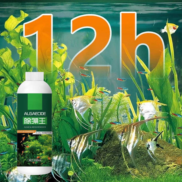 Aquarium Algae Moss Remover, Fast-Acting Safe for Fish Plants Tank Cleaner, 200ml Liquid Formula Prevents Future Growth, All Tank Sizes Water Treatment Solution, Fish Tank Cleaner