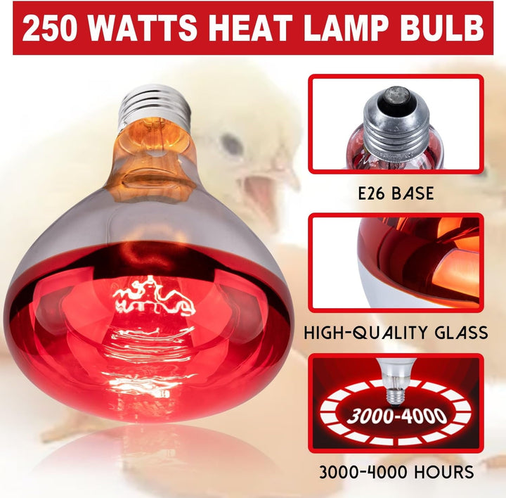 250 Watt Heat Lamp Bulbs for Chicks, R40 Brooder Heat Lamp for Chickens, Infrared Reflector Heat Bulbs for Brooder Heater, Incandescent Spotlight for Pet, Bathroom, Food (2 Pack)