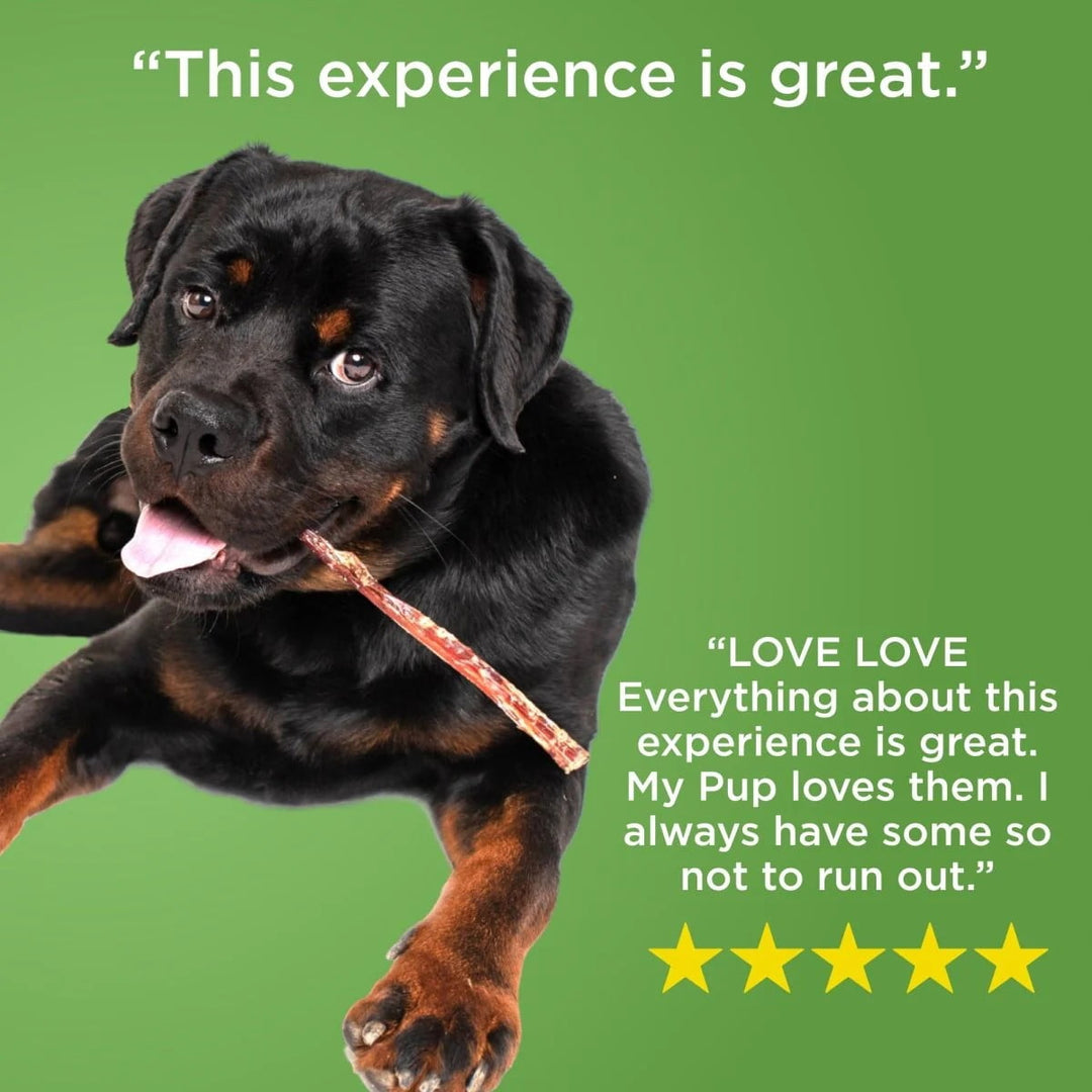 Best Bully Stick 12 Inch Thin Bully Sticks for Dogs 16 Count Natural Grass-Fed Beef, No Rawhide, Grain and Odor Free Chew Treat - Small, Medium, Large Breeds, Puppies