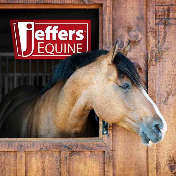 Jeffers Rubber Grooming Brush for Horses, Dogs & Cats, Removes Hair & Dirt, Easy Clean Tool - Light Blue
