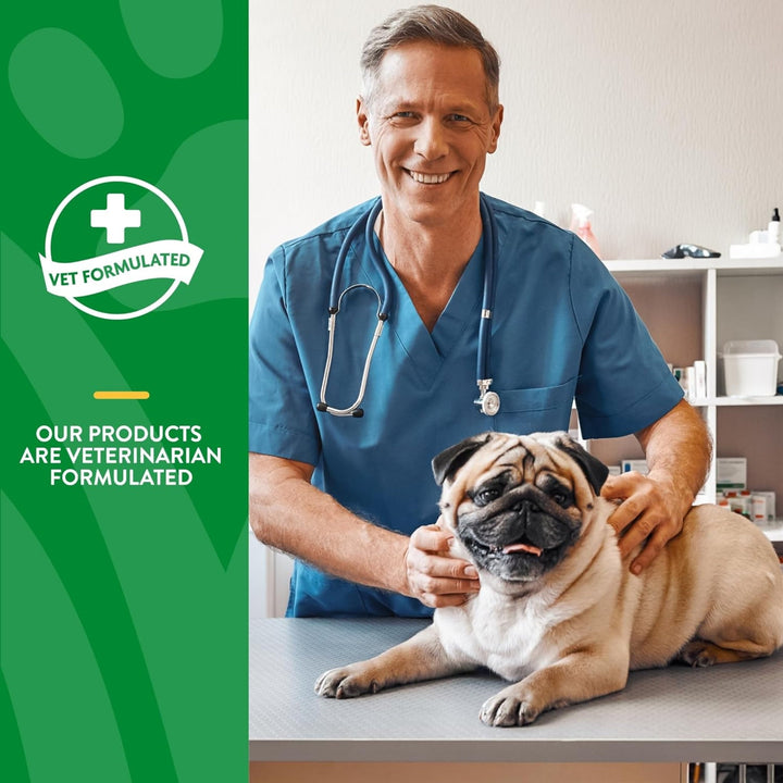 NaturVet No Scoot for Dogs Plus Pumpkin, Supports Digestion, Healthy Anal Gland & Bowel Function, 120 Soft Chews