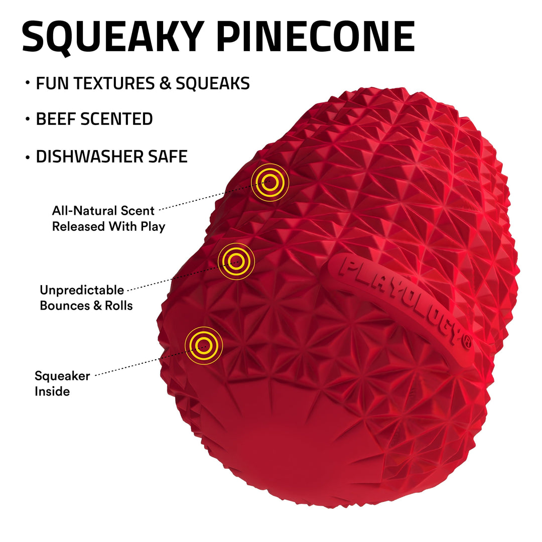 Play by Playology Dog Toys | Interactive Dog Toy | Pinecone, Beef Scented Chew Toy, Large