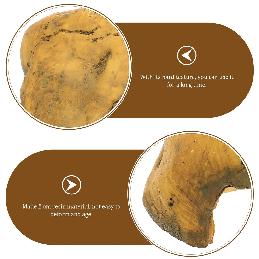 PAMINGONO Small Reptile Hide Decor Resin Basking Rock for Turtle Tank 1Pack