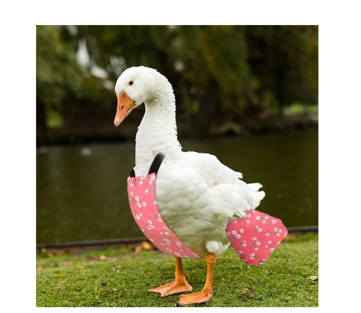 Pet Diaper Nappy Poultry Cloth for Goose Duck, Chicken Fashionable, Blue